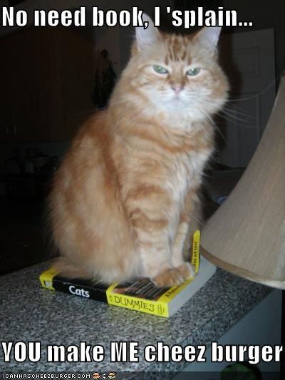 funny-pictures-you-do-not-need-a-cats-for-dummies-book.jpg